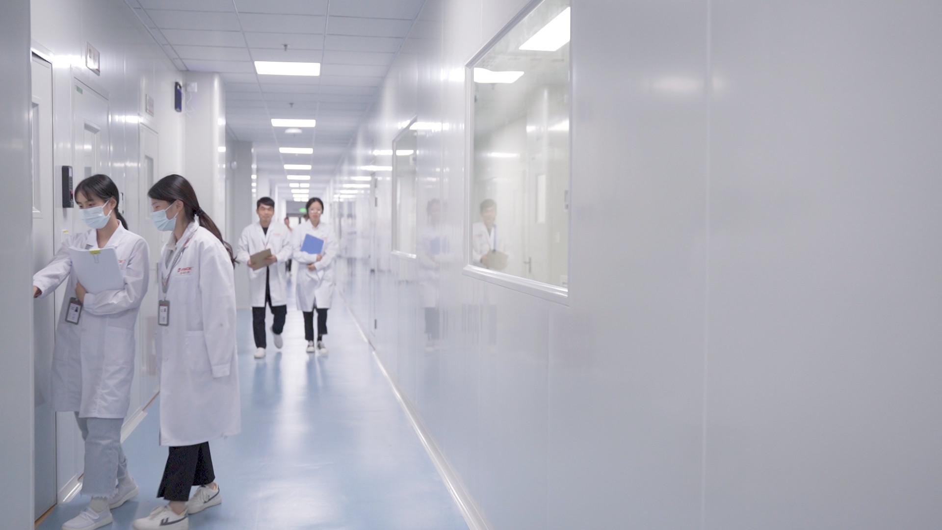 quality Veterinary Drug Residue Test Kit factory