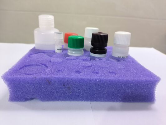 Plasmid  Kanamycin ELISA Test Kit Used In Vaccine Serum, Plasma,Pharmaceutical Factories