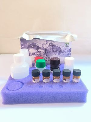 Testos terone  ELISA Test Kit   High Reproducibility High Sensitivity