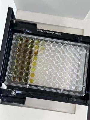 High Ssensitivity Brevetoxin(NSP) ELISA Test Kit