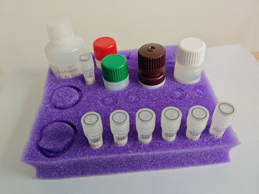 High sensitivity, quick operation with short time Colistin ELISA Test Kit Used To Detect Colistin Residues In Meat (Cattle, Pigs And Chicken) And Eggs