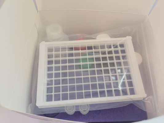 Penicillin G ELISA Test Kit   For Milk, Urine, Tissues (Liver, Kidney And Muscle), Serum And Plasma Samples