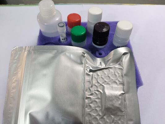 Bộ xét nghiệm ELISA Benzo[a]pyrene Độ nhạy cao (1.5ug/kg) ，Trong các sản phẩm thịt hun khói, nướng, barbecue và sản phẩm thủy sản hun khói, nướng, barbecue, v.v.