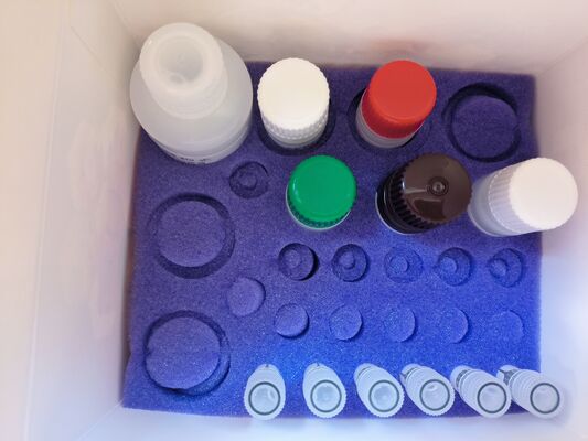 Bộ thử nghiệm ELISA Kanamycin để phát hiện dư lượng thuốc thú y với độ nhạy 1,25ppb và đặc tả 96T