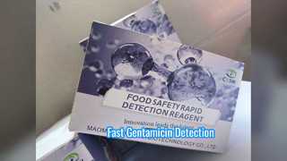 Gentamicin ELISA Kit High Sensitivity Fast Results