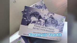Bộ ELISA Kanamycin Kiểm tra chính xác